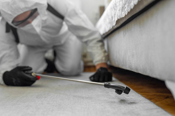 Professional Bed Bug Control technician working in Louisburg, NC