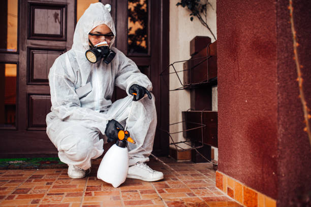 Reliable Bed Bug Control contractor in Louisburg, NC by Nex Pest Control