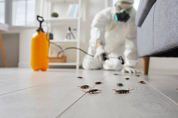 Trusted Rodent Control service in Louisburg, NC - Nex Pest Control