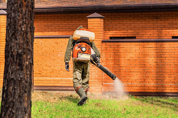 Trusted Cockroach Control service in Louisburg, NC - Nex Pest Control